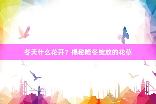 冬天什么花开?揭秘隆冬绽放的花草